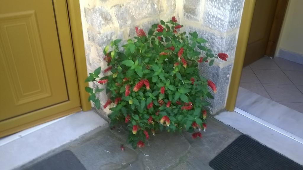 Lamprou Appartement Kosmás Kamer foto